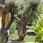 Koeyuem Konak Hotel Hotel Izmir
