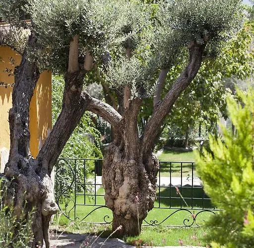 Koeyuem Konak Hotel 호텔 이즈미르